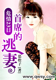 逃妻再续，小妈咪首席总裁的未了情缘,小妈咪首席总裁的逃妻