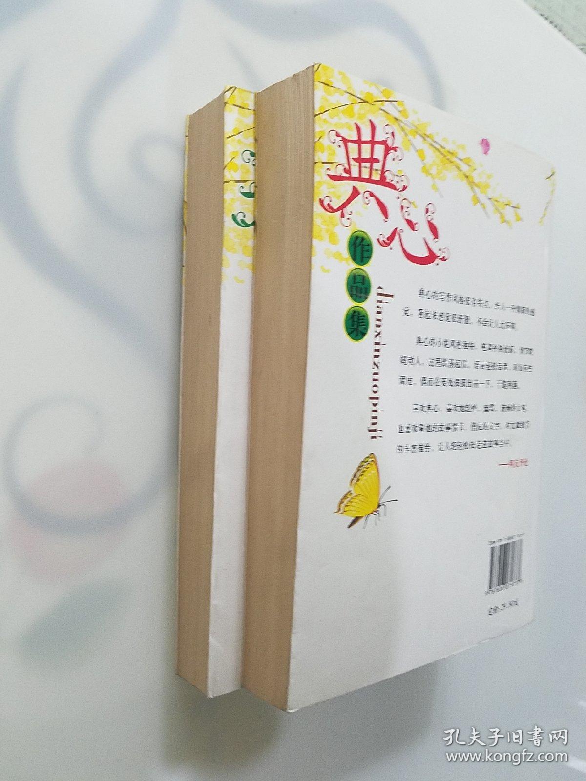 典心小说全集，情深意长的文学盛宴,典心小说全集