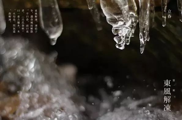 战寒爵与洛诗涵，冰封之恋的解冻,战寒爵 洛诗涵全文免费阅读