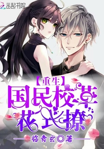 一肖一码 第272页