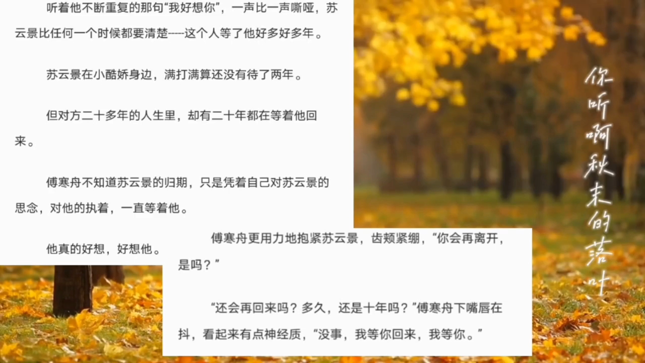 苏南衣云景，一场跨越时空的免费阅读之旅,苏南衣云景免费阅读