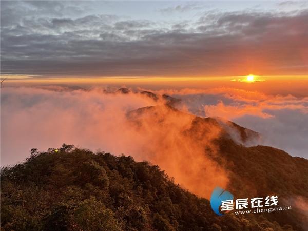 穿越千年，梦之欢颜，寻觅历史长河中的微笑,穿越千年梦之欢颜