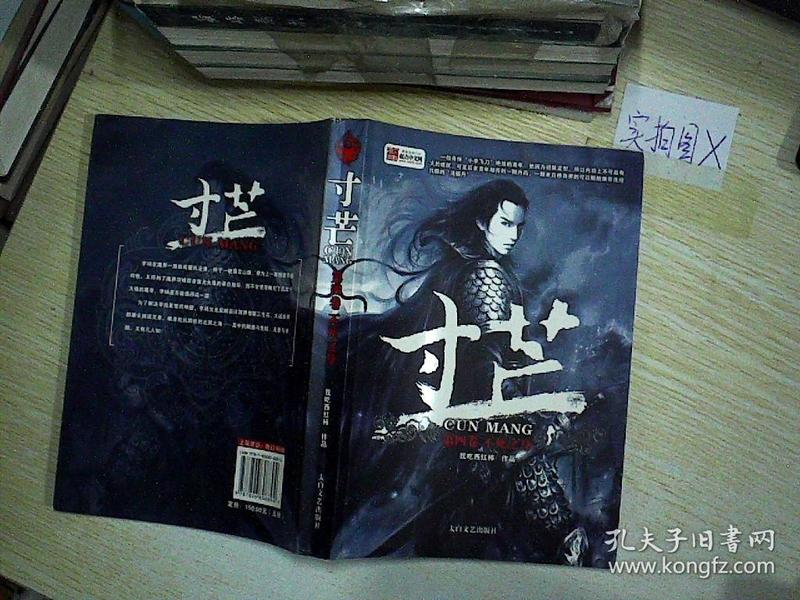 小说寸芒——穿越时空的微光,小说寸芒