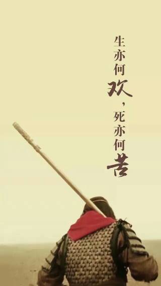 小说林阳与许苏晴，缘起时光的温柔,小说林阳许苏晴