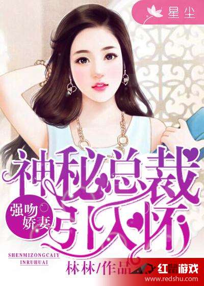 总裁的秘密花园