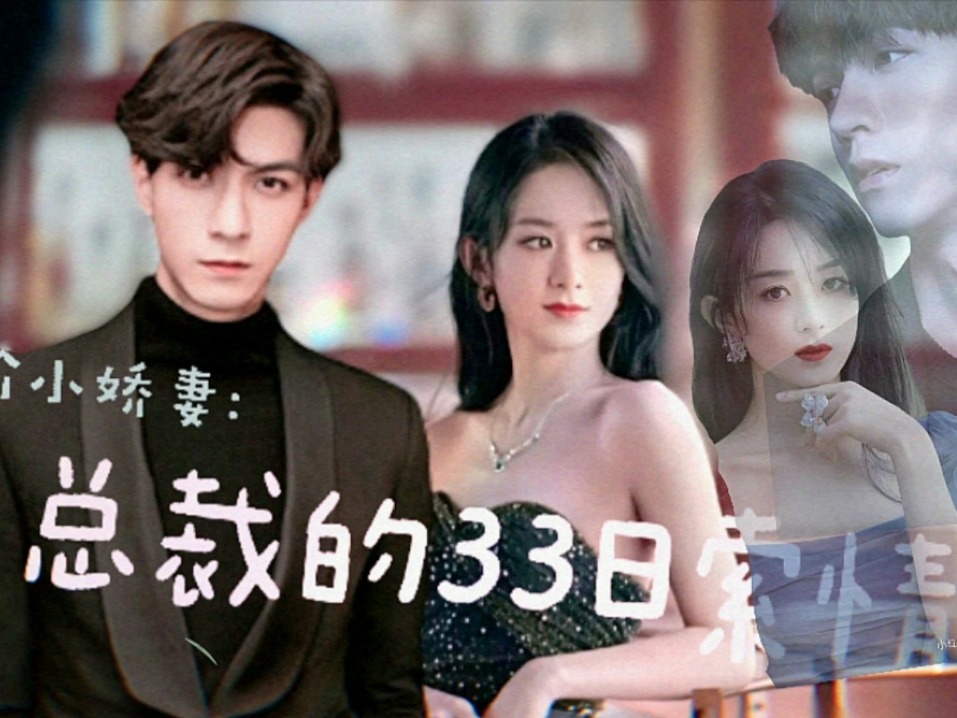 总裁的30日深情迷局，三十三夜，爱欲交织,总裁的33日索情