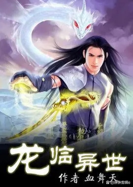 异世御龙，穿越时空的奇幻之旅,异世御龙txt下载