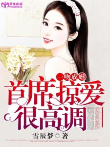 掠爱总裁，权与爱的交织,掠爱总裁