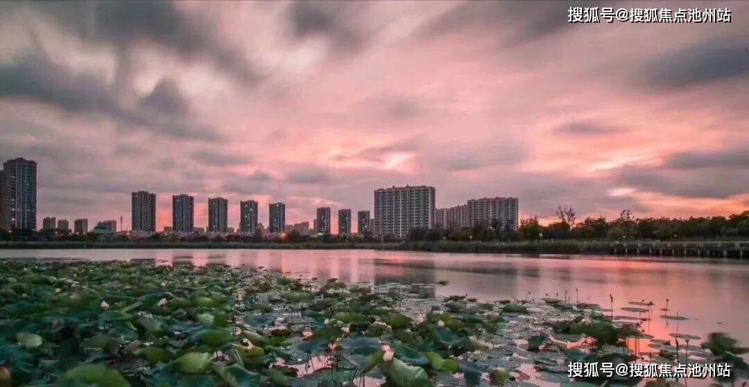 最新一期任九奖金预测，深度分析与前瞻,任九最新一期奖金预测