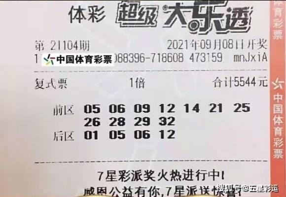 今日大乐透，彩民晒票热潮背后的期待与梦想,大乐透今天彩民晒票