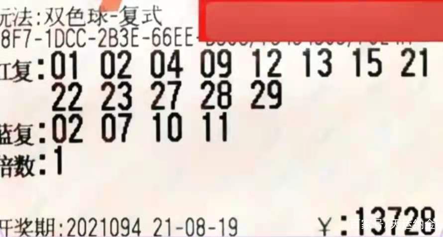 2031年双色球开奖，揭晓幸运数字，共筑梦想之桥,2023119双色球开奖号码结果