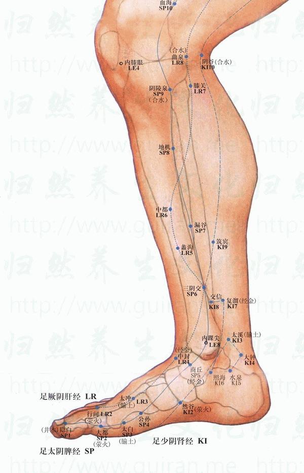 彩宝网，官方认证的权威平台,彩宝网是官方网站吗