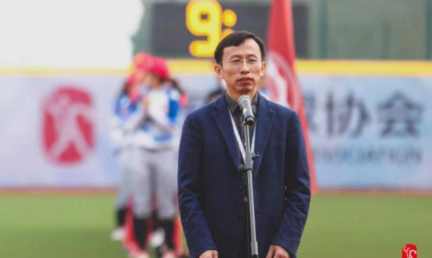 足球智慧，深度分析与精准推荐的艺术,足球分析及推荐