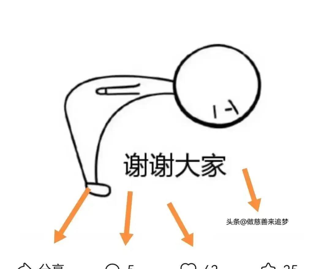 探索新疆福利彩票双色球中奖查询的奥秘与乐趣,新疆福利彩票双色球中奖查询