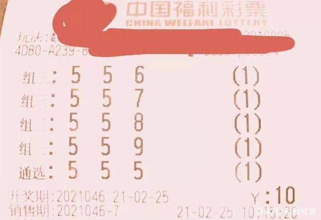 探索中国3D彩票，数字与梦想的奇妙碰撞,中国3d彩票
