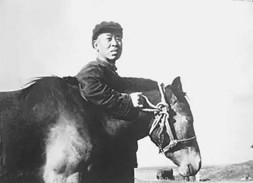 浙江福彩快乐8，公益与梦想的双重乐章,浙江福彩快乐8