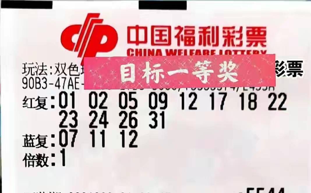 广西快乐双彩，今晚开奖的惊喜与期待,广西快乐双彩开奖结果查询今晚