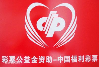 探寻中国福利彩票东方6+1的魅力与影响,中国福利彩票东方6 1开奖结果