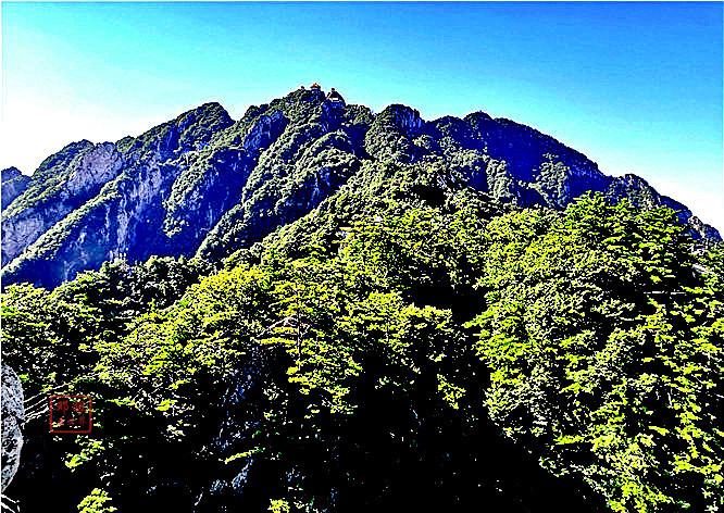 河南23选5今日开奖结果揭晓，公益与幸运的双重盛宴,河南22选5今日开奖结果