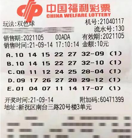 探索新澳门资料大全，203年正版免费下载指南2025新澳门天天免费精准开奖