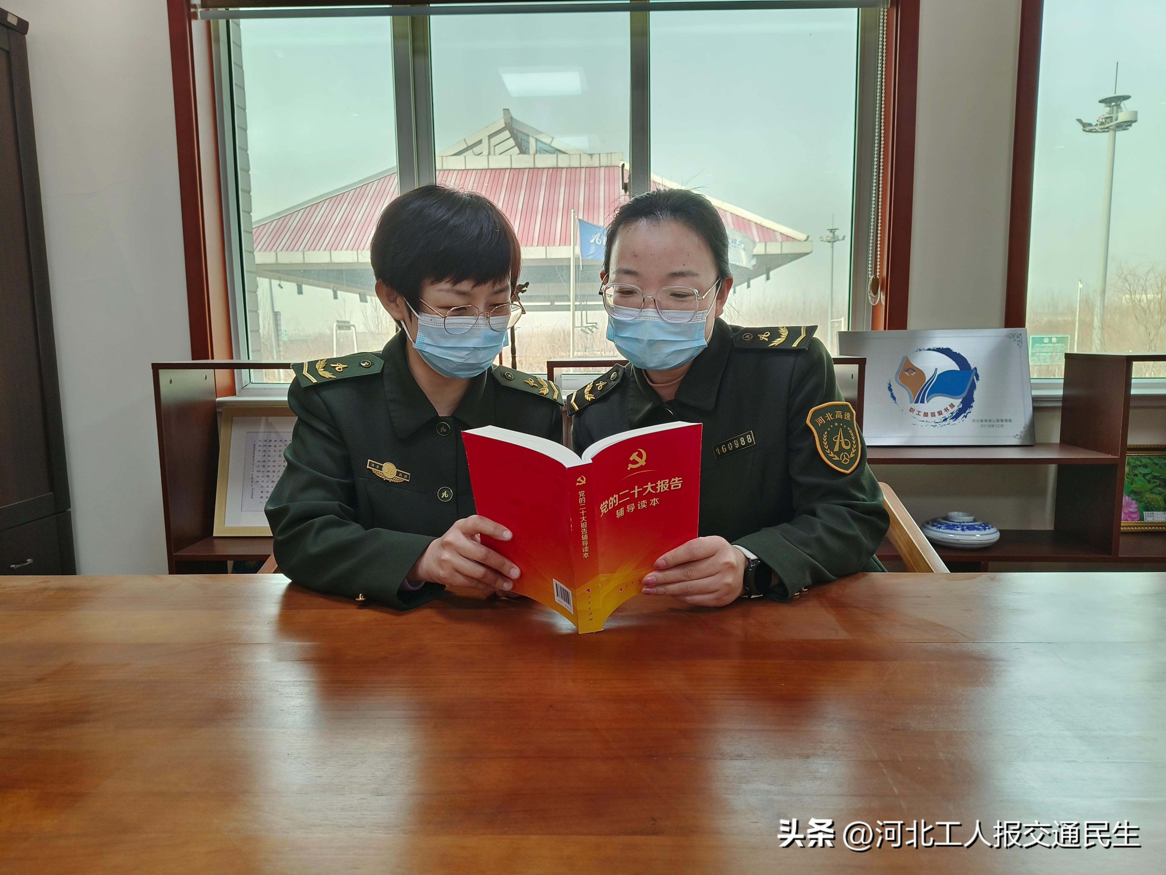 彩铅画的魅力与艺术探索,彩铅画