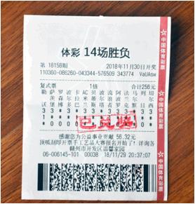 一肖一码 第243页