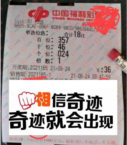 揭秘中国福利彩票2046期开奖号码背后的故事与影响,中国福利彩票2024067期开奖号码