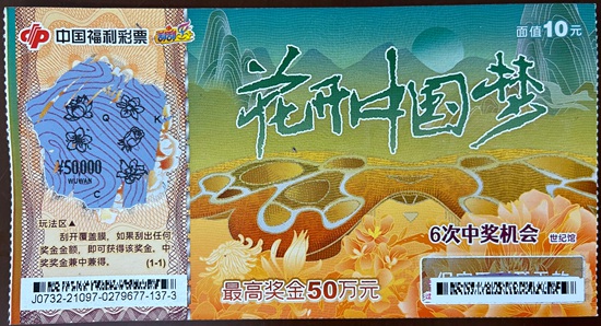 探索中国福利彩票的在线购买新纪元,中国福利彩票可以在线购买吗