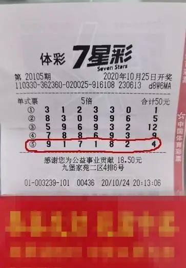 揭秘香港最准一肖中特公开选料10849，真相与警示香港最准一肖中特公开选料1准确 192.168.0.1