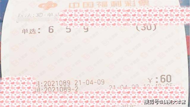 探索未来，揭秘今日三D彩票试机号,三d今天的试机号多少