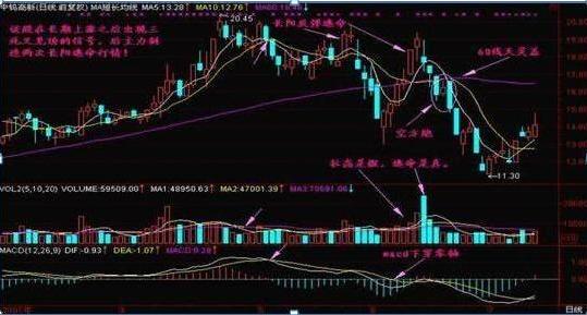 管家婆20-45岁女性资料图片大全，解锁职场与生活的平衡艺术管家婆2014彩图大全