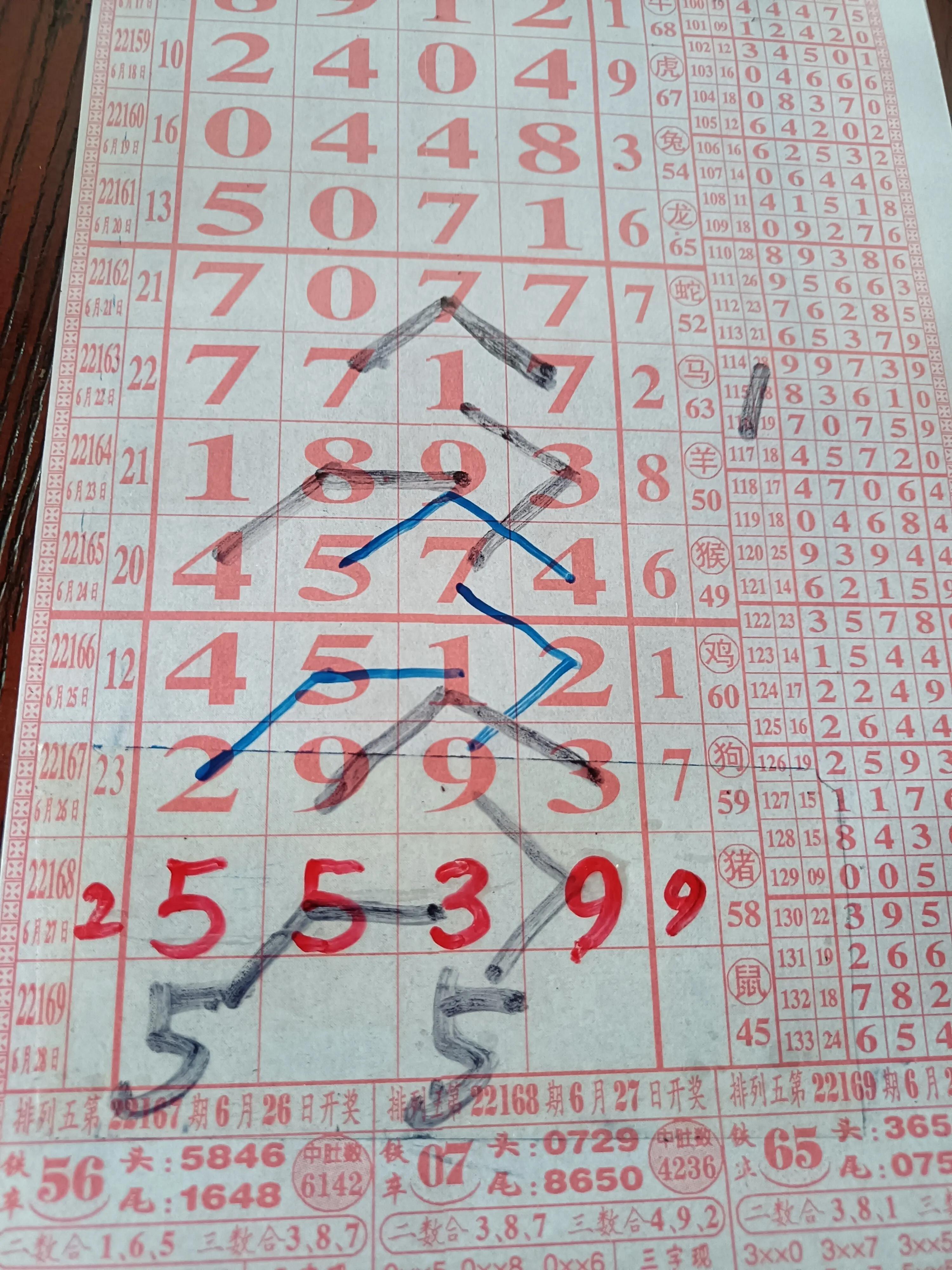 排列五开奖图，数字背后的幸运与智慧,排列五开奖图