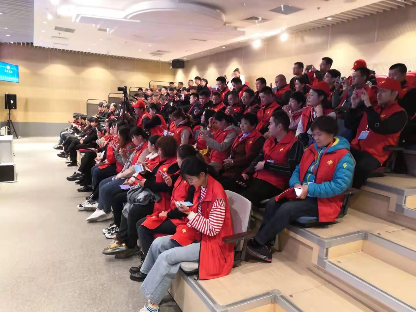 预测未来，双色球下一期号码的神秘面纱,双色球下一期号码预测