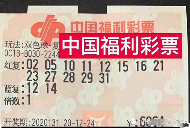 今日新疆双色球开奖揭晓，梦想与幸运的碰撞,新疆双色球今天开奖结果