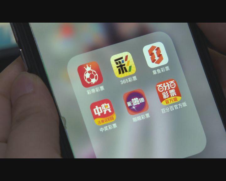 足彩买量比分布，深度解析与策略建议,足彩买量比分布