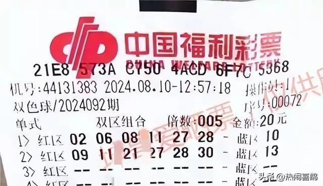 探索中国福彩双色球，揭秘查询的奥秘与乐趣,中国福彩双色球查询