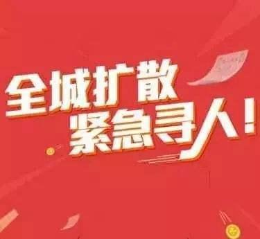 2015年双色球全年开奖记录完整版，揭秘年度幸运轨迹,2015年双色球全年开奖记录完整版
