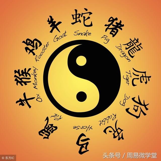 八字算命，免费测八字的奥秘与魅力,八字算命免费测八字