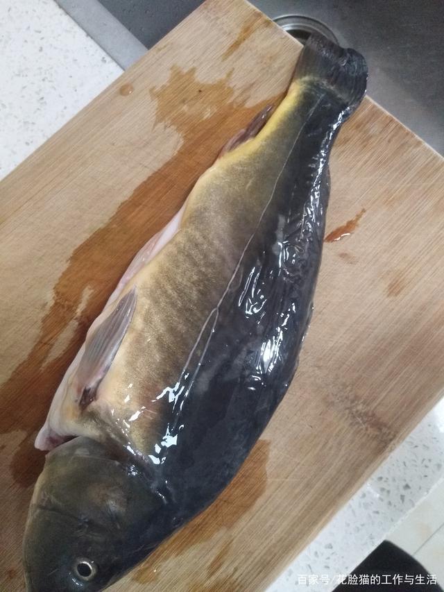 探索三道鳞鱼的绝妙烹饪法，解锁美味新境界,三道鳞鱼怎么做好吃