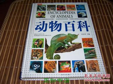 探索福彩3D的奇妙世界，家财推荐——您的专属开奖指南,家彩推荐专门提供福彩3d开奖