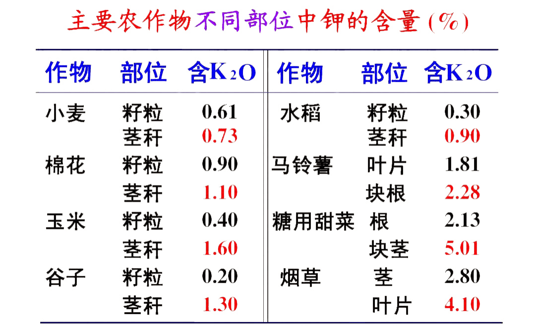 排列三字谜