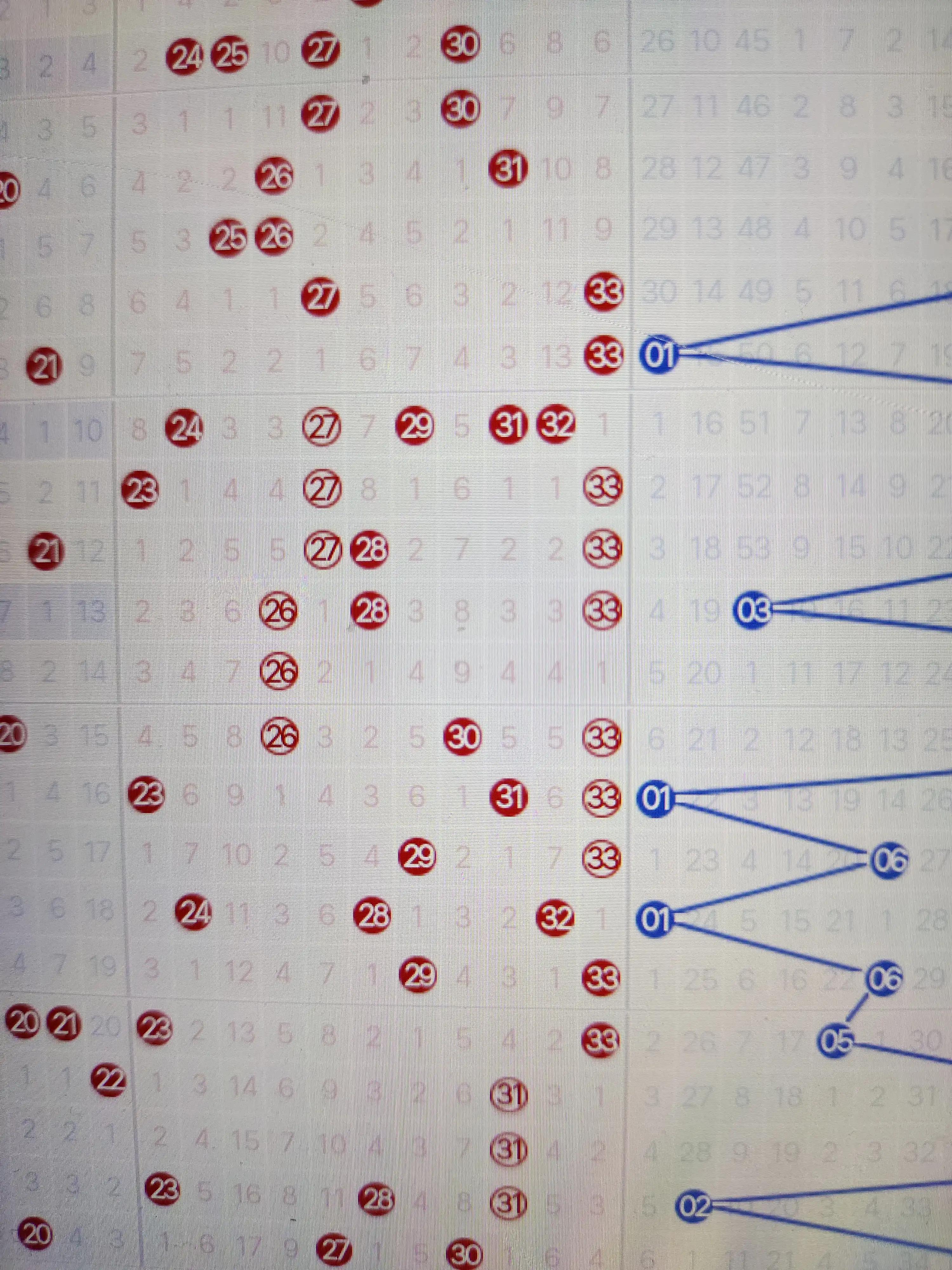 新手买双色球，轻松选号的实用指南,新手买双色球怎么选号