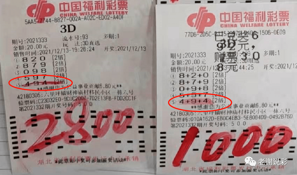 福彩丹东全图，今晚的幸运之约,福彩丹东全图今天晚上