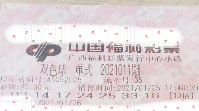 2045年，双色球开奖结果预测的未来展望,2021088期双色球开奖结果预测