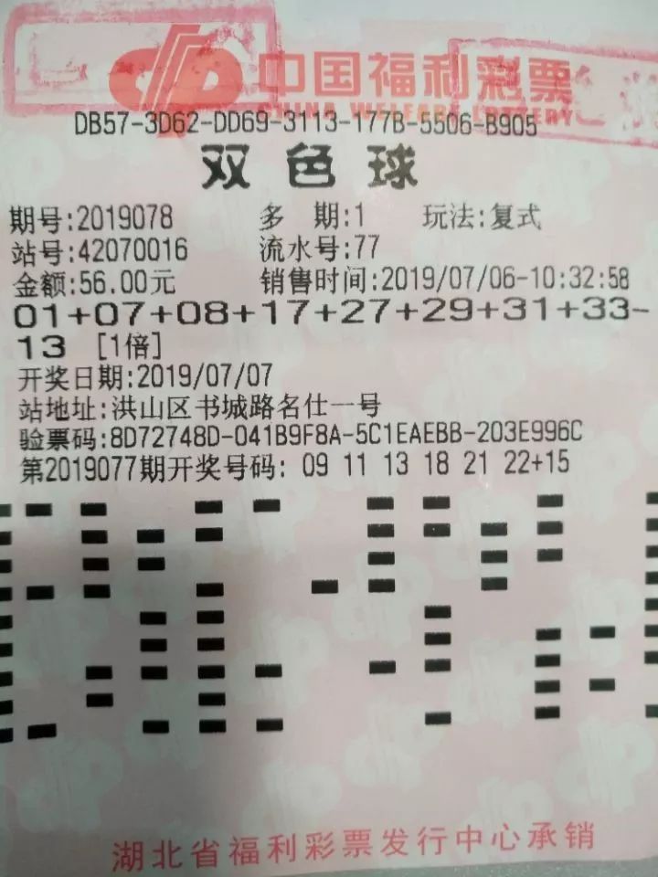 探索香港六合彩的魅力，今晚开奖结果查询全攻略香港码今晚开奖结果查询历史记录