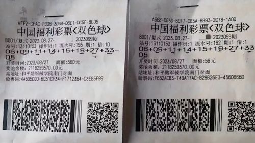 双色球真的有人中一等奖吗？——揭秘彩票背后的真实故事与概率,双色球真的有人中一等奖吗