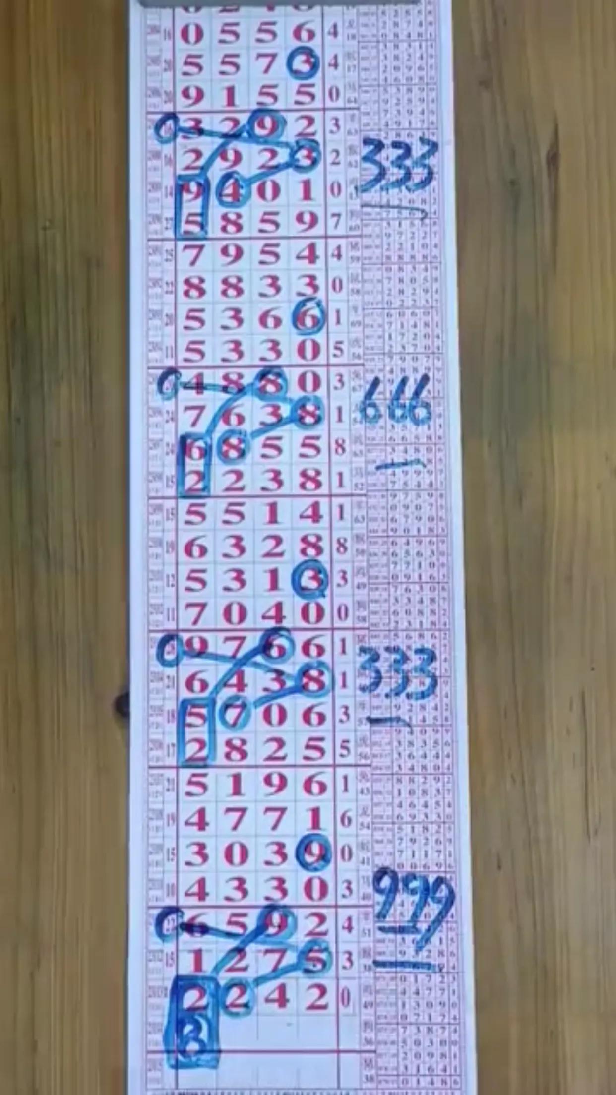 解析排列五开奖结果走势图带连线专业版——洞悉数字背后的奥秘,排列五开奖结果走势图带连线专业版