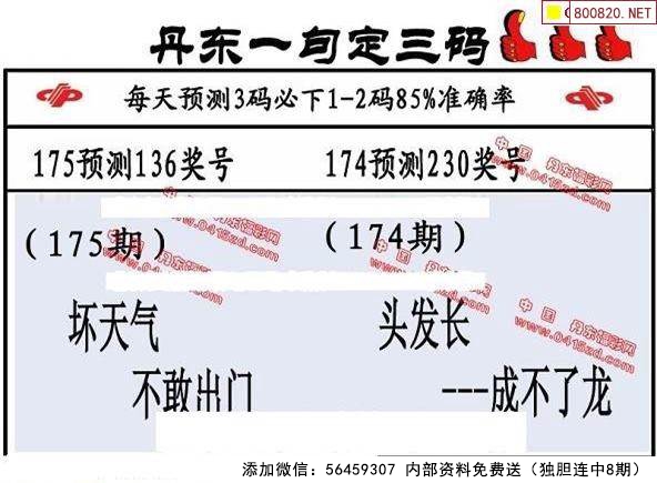 丹东全图正版，今日之探索与未来展望,丹东全图正版 今天