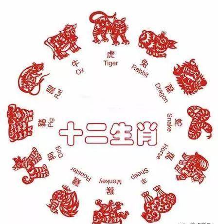 今晚一个生肖的神秘之旅,今晚一个生肖