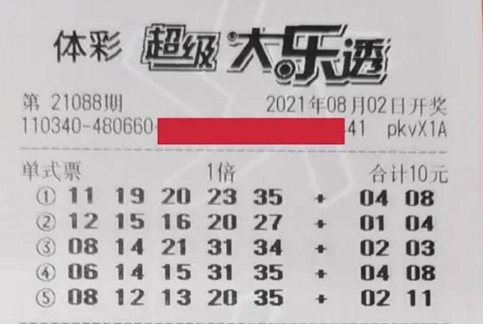 探索双色球，胆拖玩法与复式投注的奥秘,双色球胆拖玩法和复式的区别